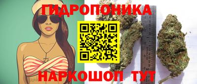 дурь Гагарин