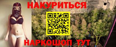 гашик Гай