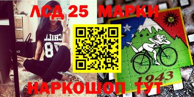 гашик Гай
