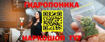 гашик Гай