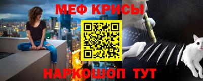 гашик Гай