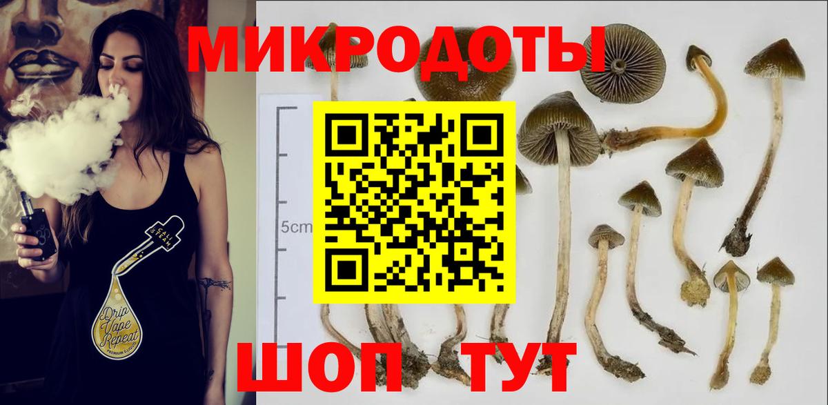Назрань  Псилоцибиновые грибы Psilocybe  где продают   Вход с VPN 