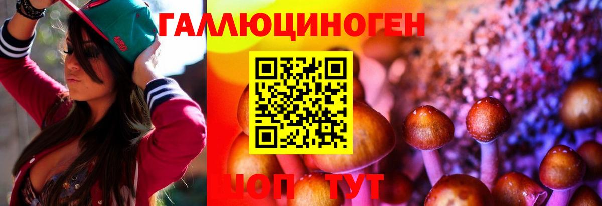 Галлюциногенные грибы GOLDEN TEACHER Назрань